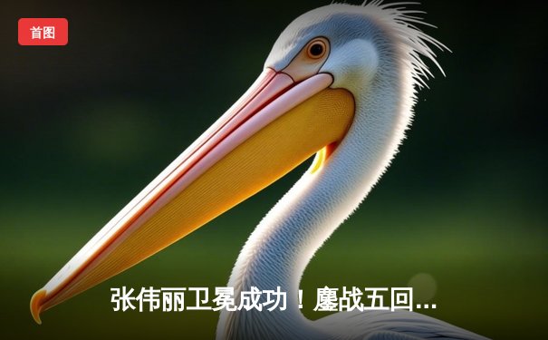 张伟丽卫冕成功！鏖战五回合点数击败闫晓楠，展现中国力量